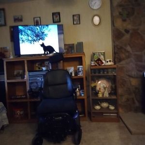 Meet your Posher, Mickey